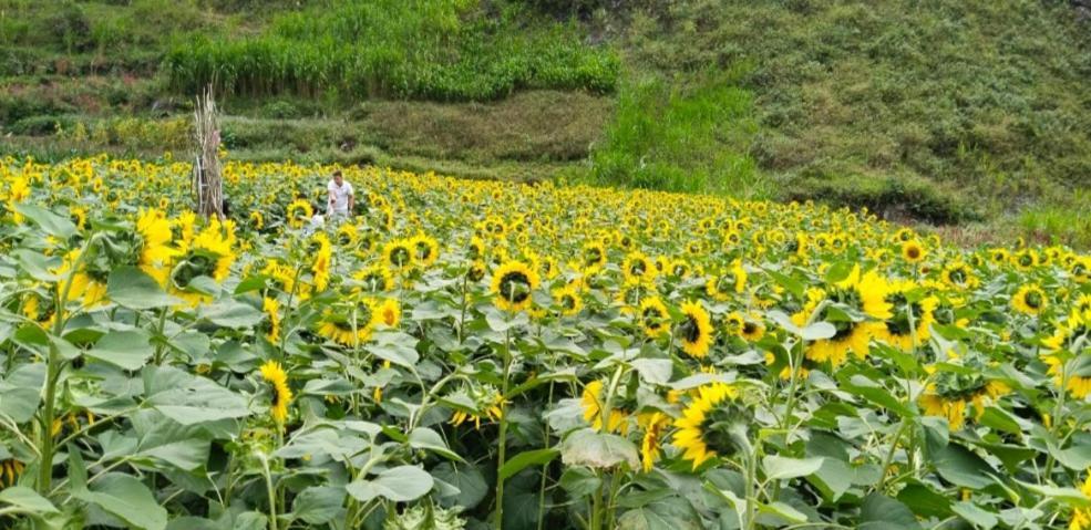 Nha Nghi Anh Van Đồng Văn Ngoại thất bức ảnh